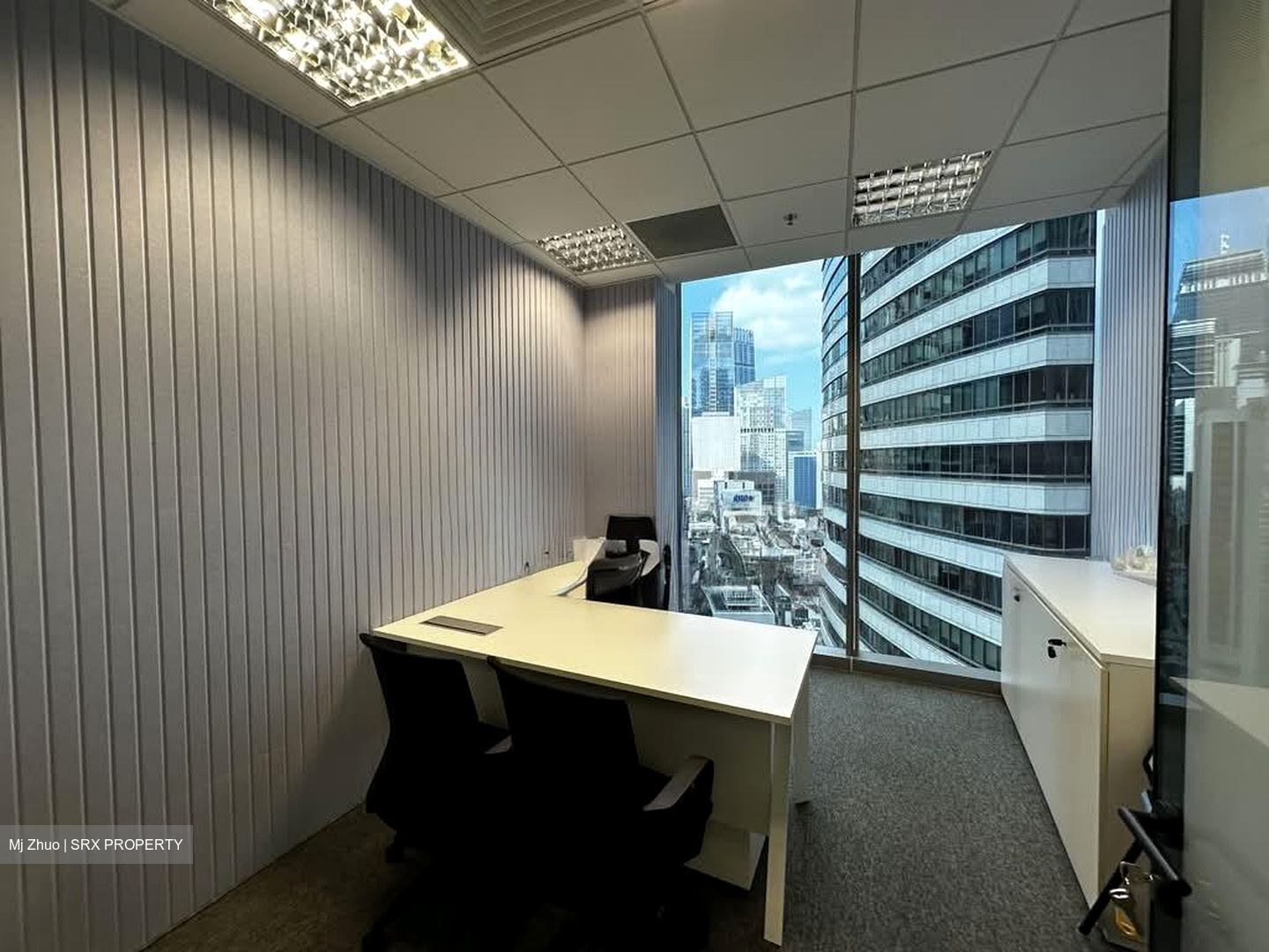 PLUS (D1), Office #543093801